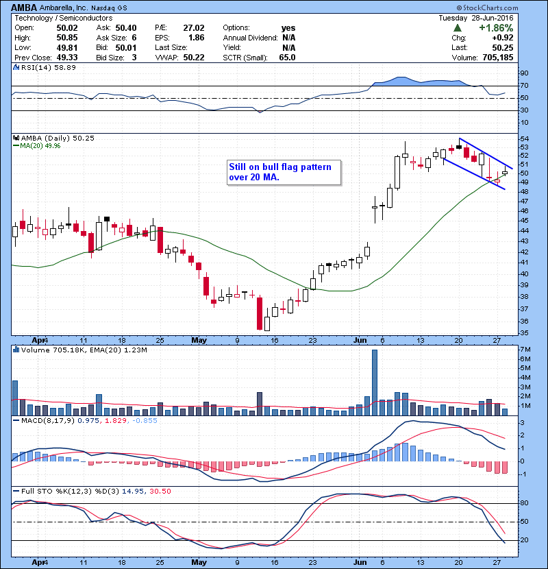 AMBA Still on bull flag pattern over 20 MA.