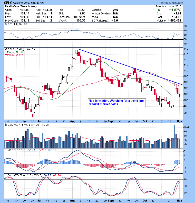 CELG Flag formation. Watching for a trend line break if market holds. 