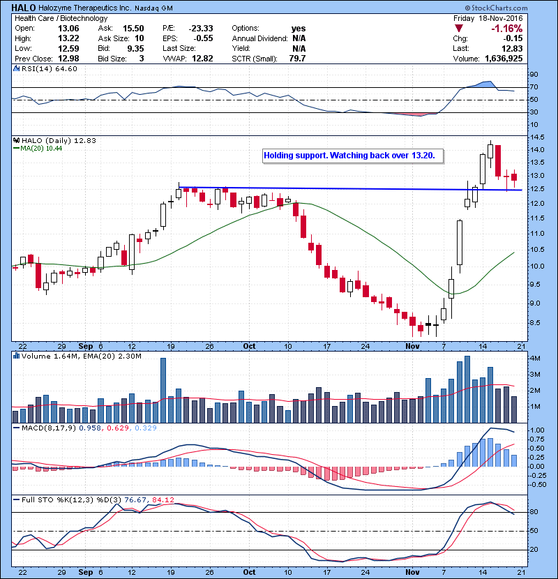 HALO Holding support. Watching back over 13.20.