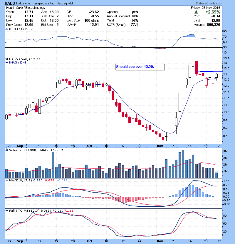HALO Should pop over 13.20.