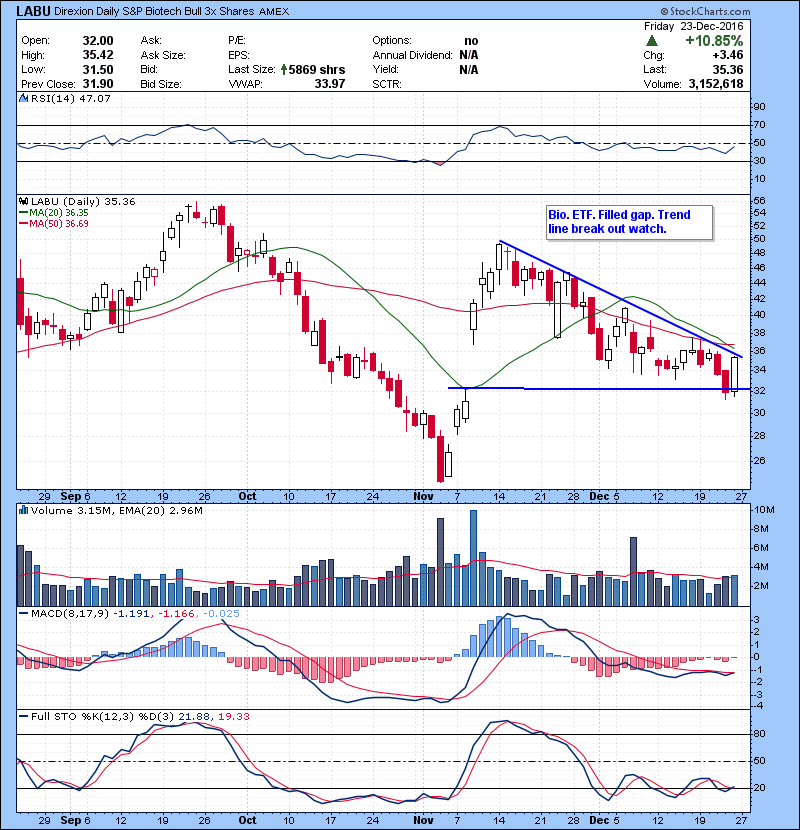 LABU Bio. ETF. Filled gap. Trend line break out watch.