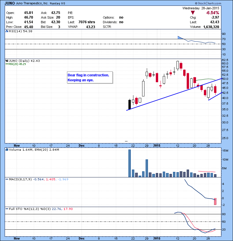 JUNO Bear flag in construction. Keeping an eye.