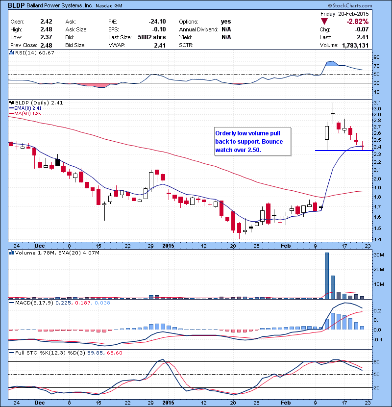 BLDP Orderly low volume pull back to support. Bounce watch over 2.50.