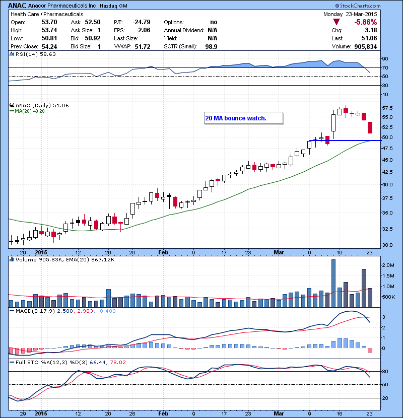 ANAC 20 MA bounce watch.