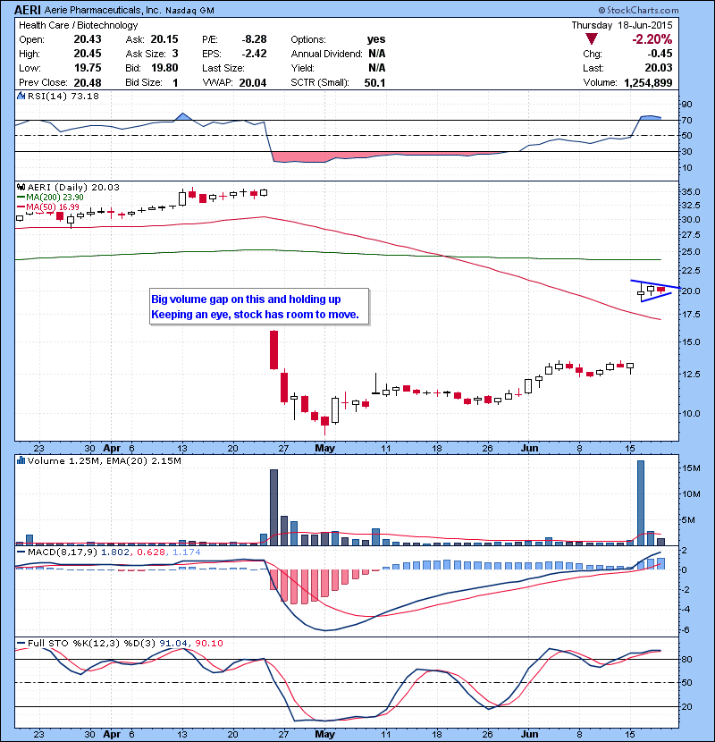 AERI  Big volume gap on this and holding up Keeping an eye, stock has room to move.