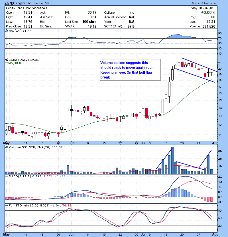 ZGNX Volume pattern suggests this should ready to move again soon. Keeping an eye. On that bull flag break .