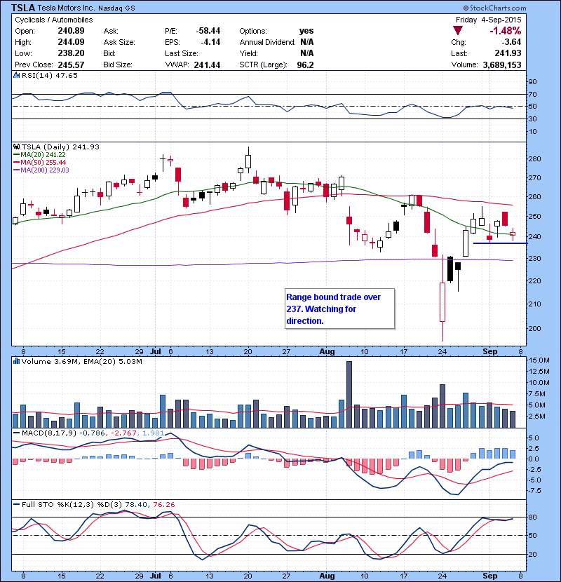 TSLA Range bound trade over 237. Watching for direction.
