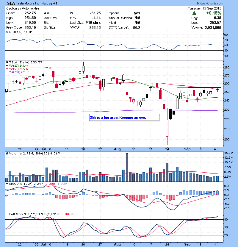 TSLA 255 is a big area. Keeping an eye.