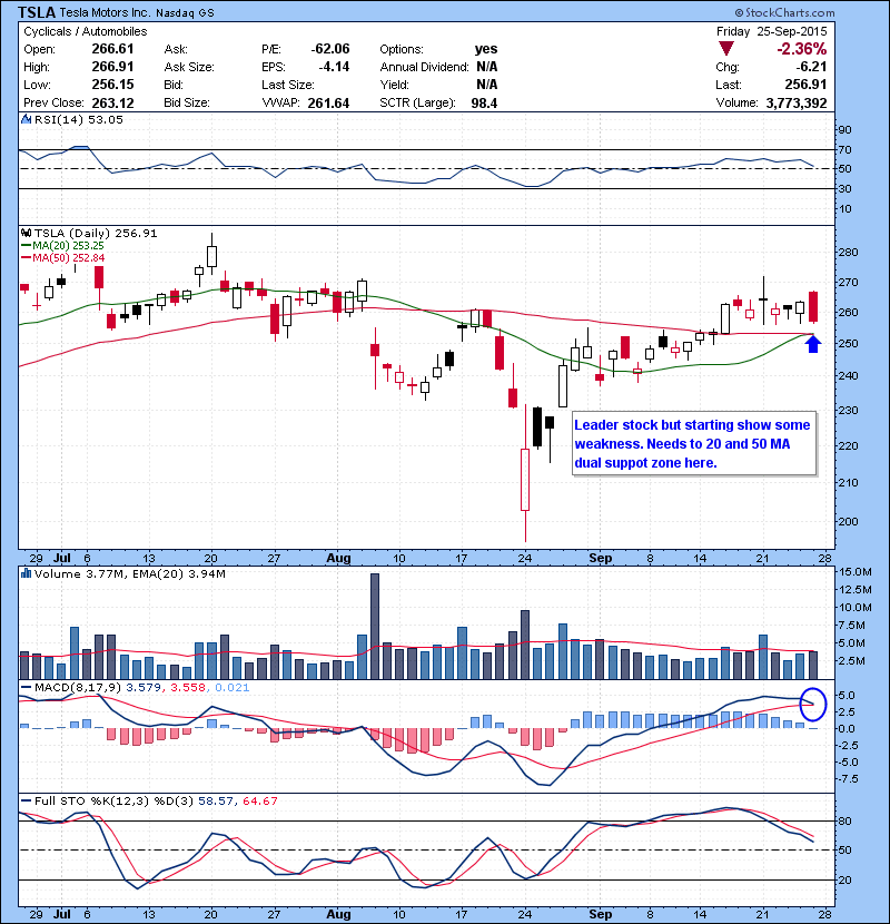 TSLA Leader stock but starting show some weakness. Needs to 20 and 50 MA dual suppot zone here. 