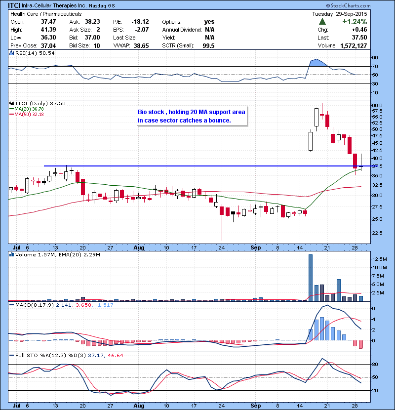ITCI Bio stock , holding 20 MA support area in case sector catches a bounce.