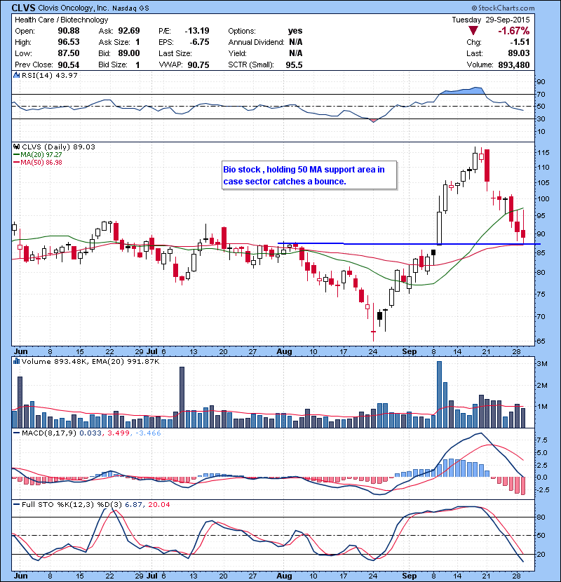 CLVS Bio stock , holding 50 MA support area in case sector catches a bounce.
