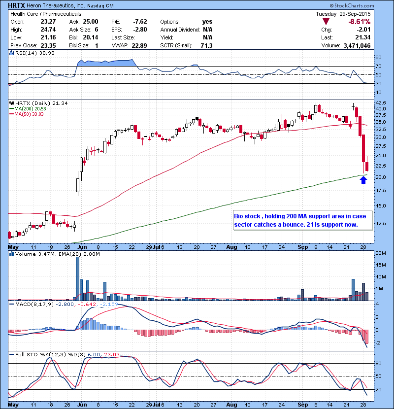 HRTX Bio stock , holding 200 MA support area in case sector catches a bounce. 21 is support now.