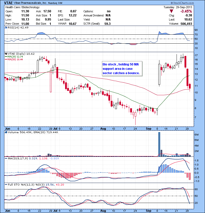  VTAE Bio stock , holding 50 MA support area in case sector catches a bounce.