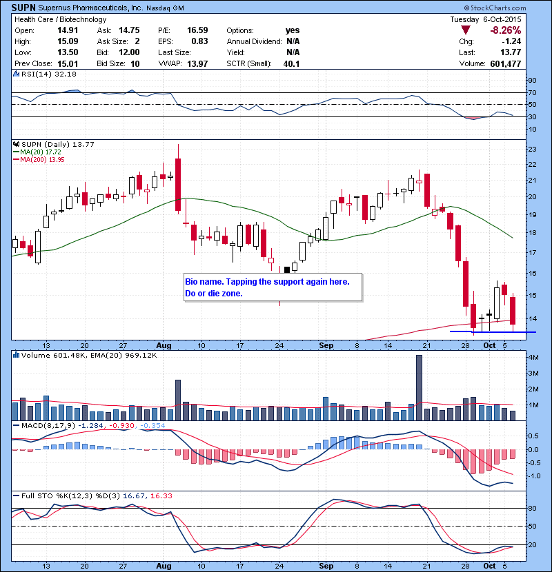 SUPN Bio name. Tapping the support again here. Do or die zone.