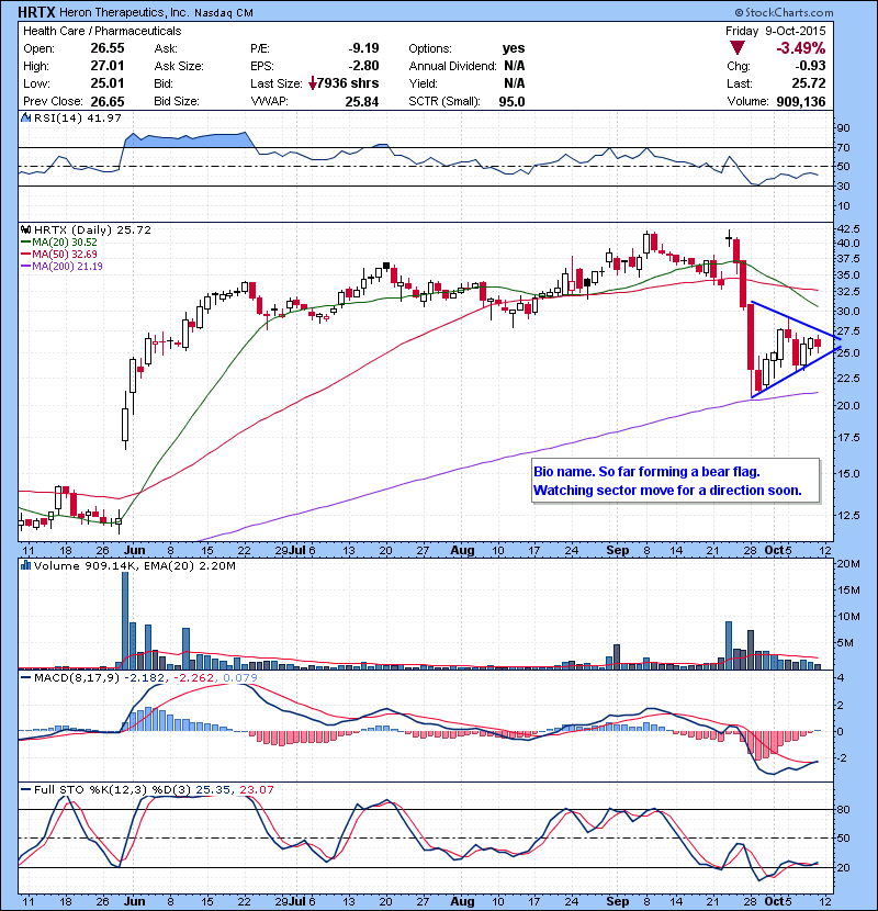 HRTX Bio name. So far forming a bear flag. Watching sector move for a direction soon. 