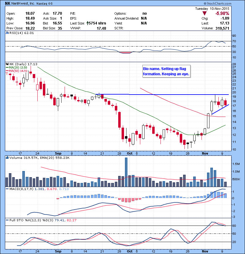 NK Bio name. Setting up flag formation. Keeping an eye.