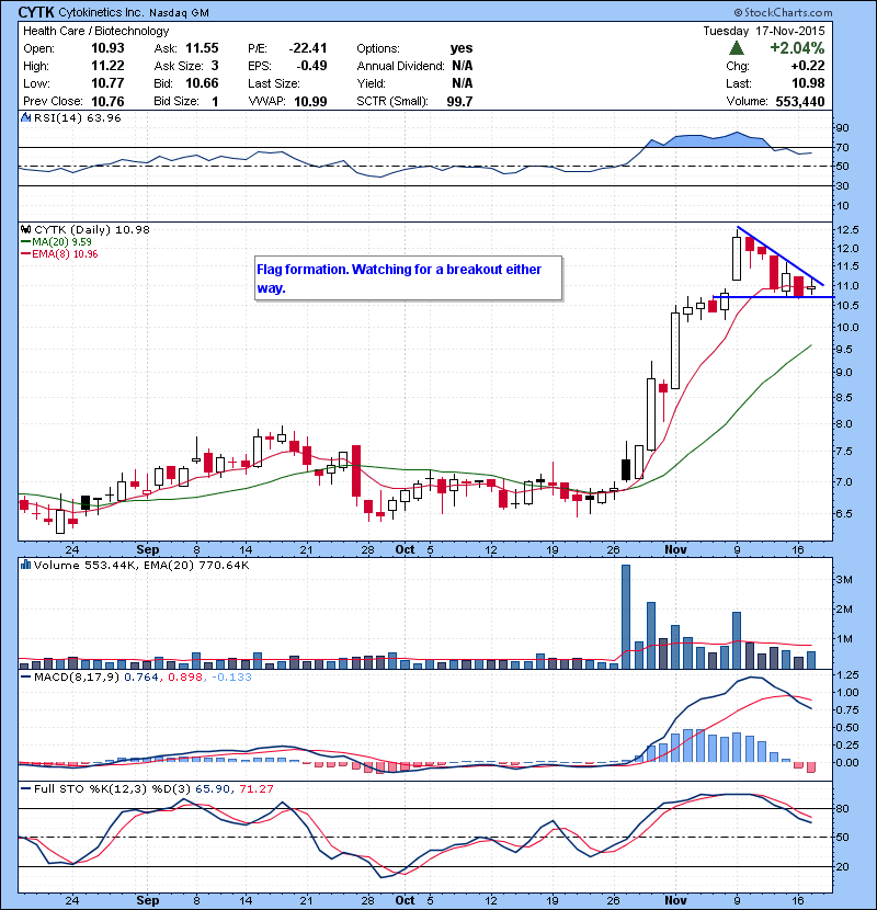 CYTK Flag formation. Watching for a breakout either way. 
