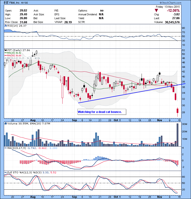 FIT Watching for a dead cat bounce. 