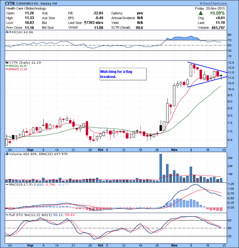 CYTK Watching for a flag breakout.