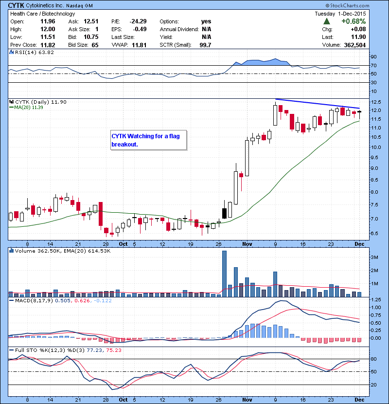 CYTK Watching for a flag breakout.