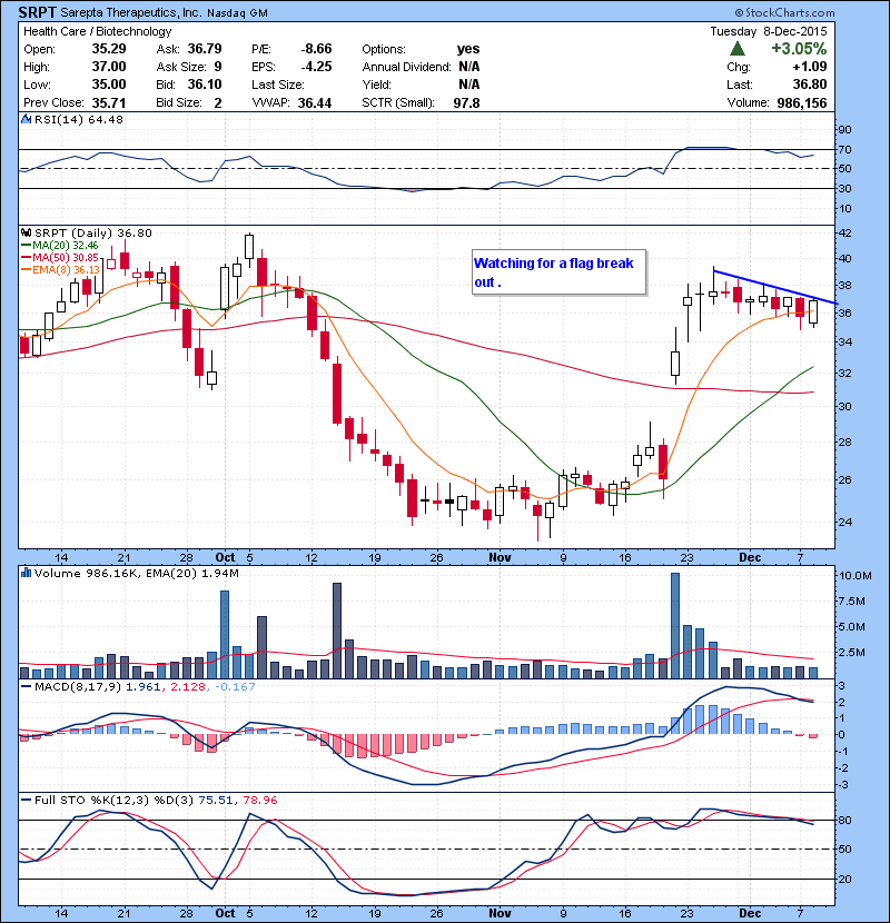 SRPT Watching for a flag break out .