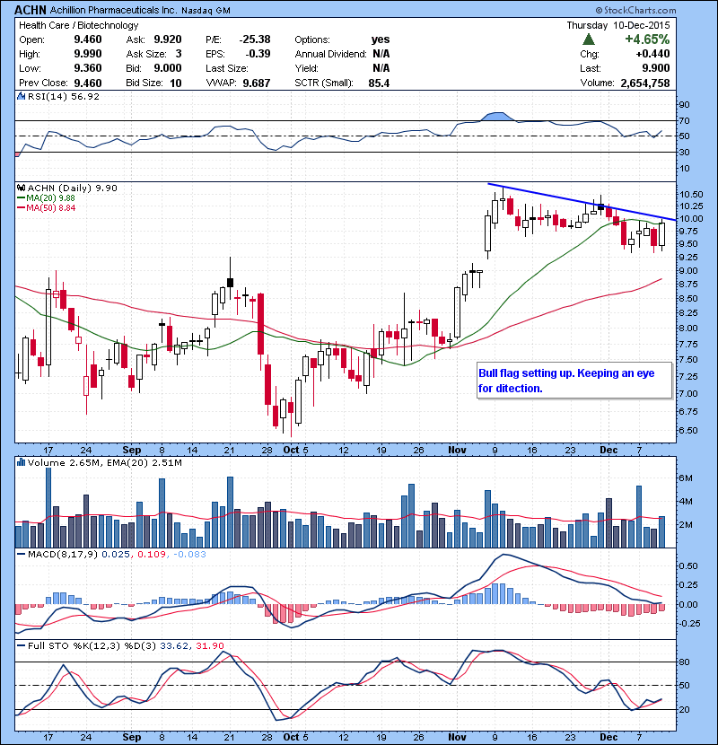ACHN Bull flag setting up. Keeping an eye for direction.