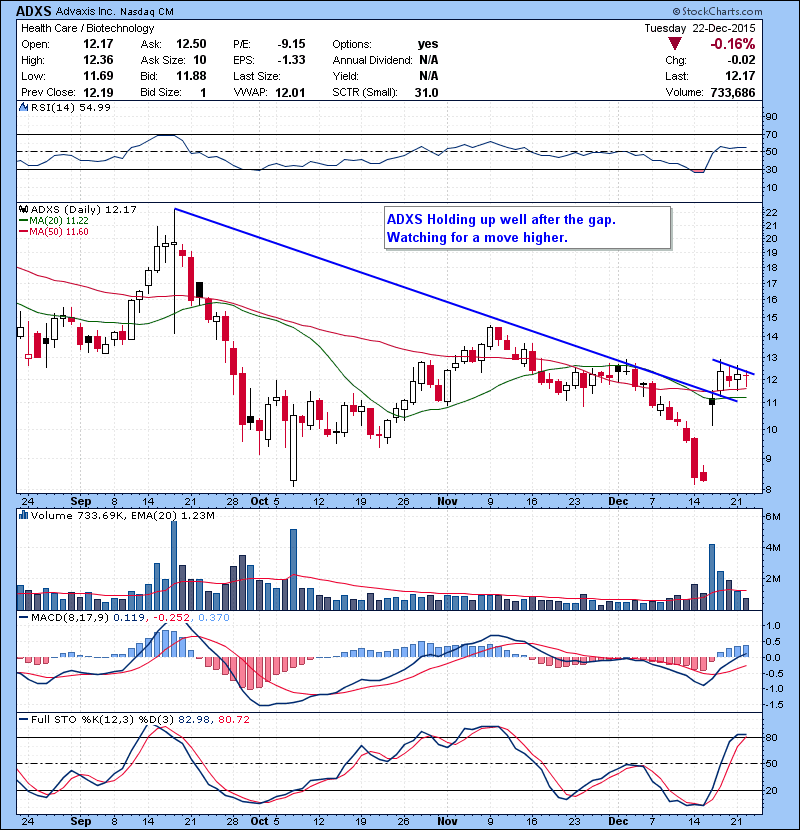 ADXS Holding up well after the gap. Watching for a move higher.