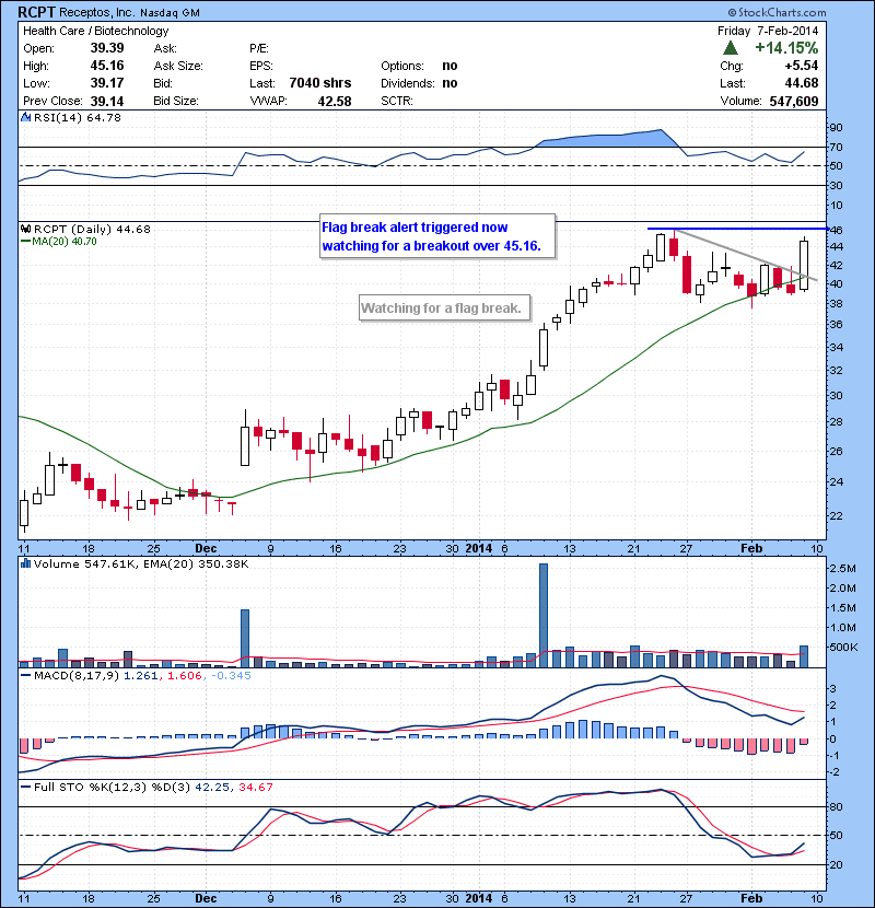 RCPT Flag break alert triggered now watching for a breakout over 45.16.