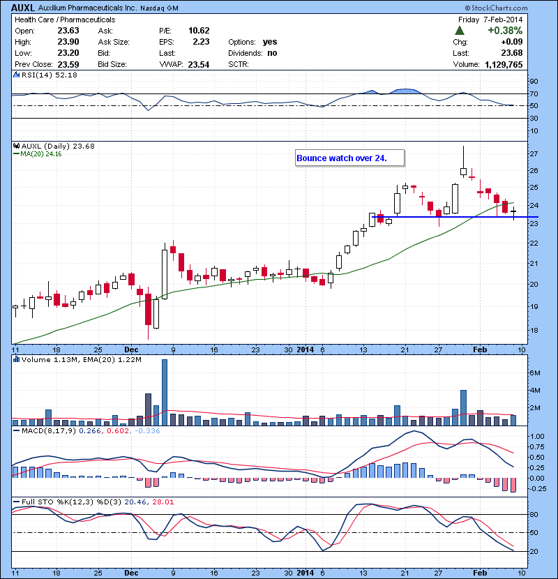 AUXL Bounce watch over 24.