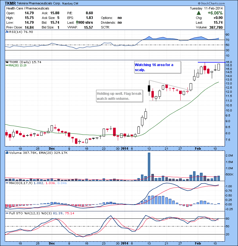 TKMR Watching 16 area for a scalp.