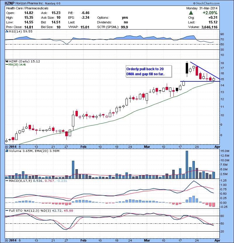 HPJ Flag break watch. HZNP Orderly pull back to 20 DMA and gap fill so far.  