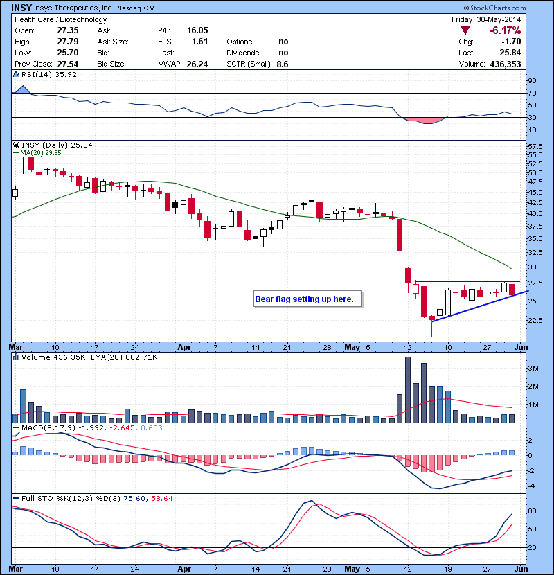 INSY Bear flag setting up here.
