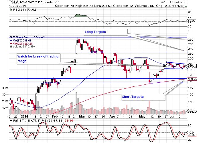 tsla chart request