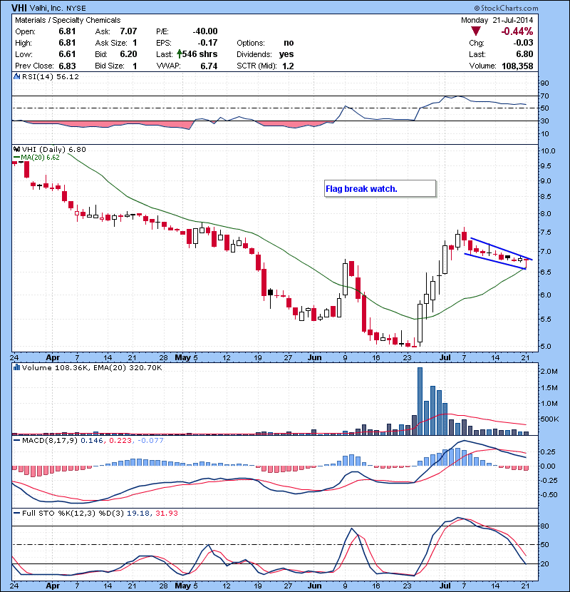 VHI Flag break watch.