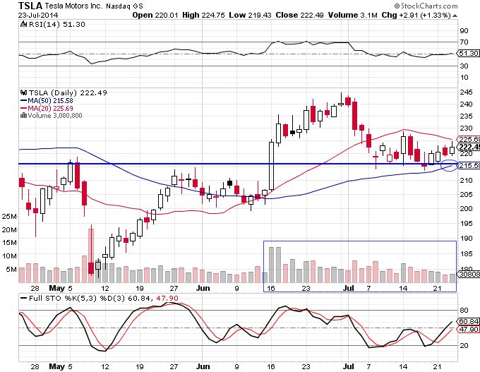 TSLA 7-24-14