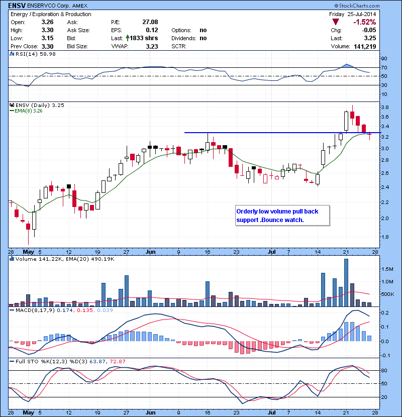 ENSV  Orderly low volume pull back support .Bounce watch.