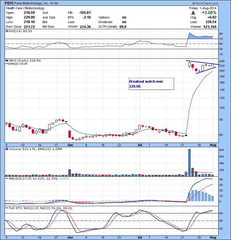PBYI Breakout watch over 229.90.