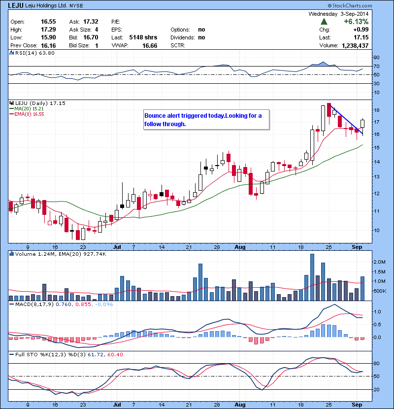LEJU Bounce alert triggered today.Looking for a follow through. 
