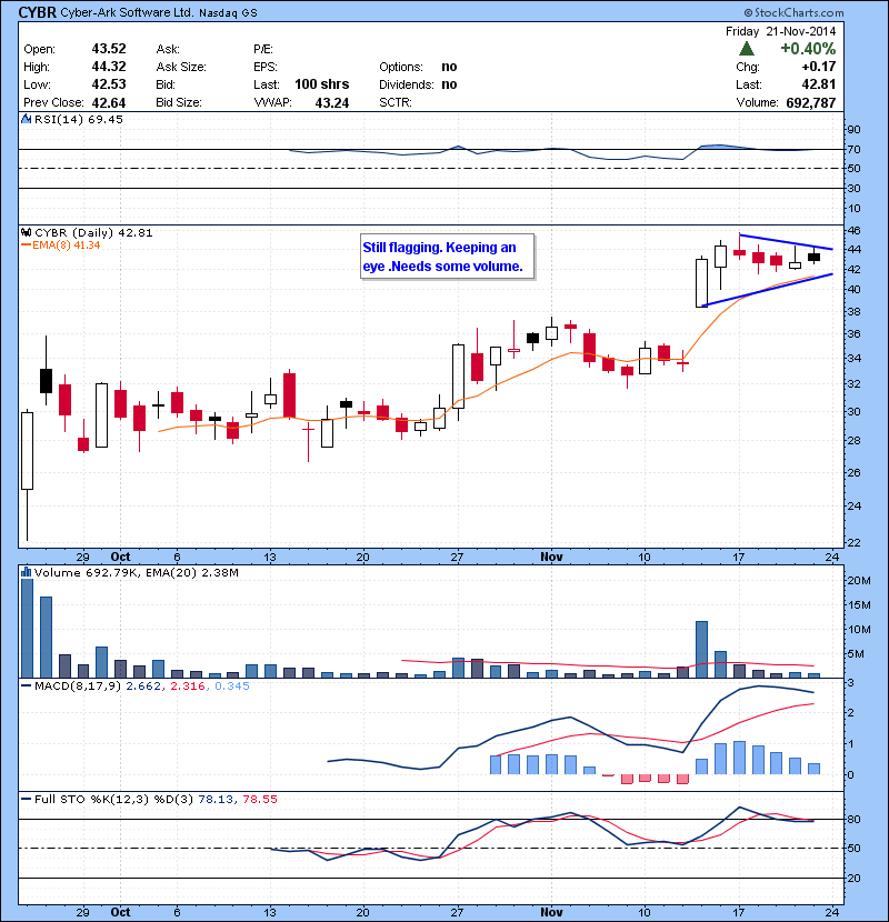 CYBR Still flagging. Keeping an eye .Needs some volume.