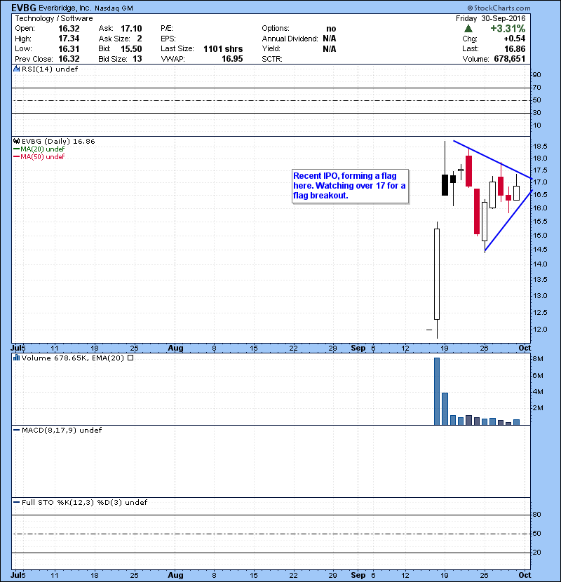 EVBG Recent IPO, forming a flag here. Watching over 17 for a flag breakout.
