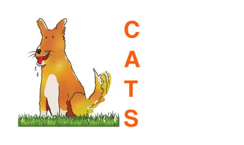 Canine Advanced Training Services