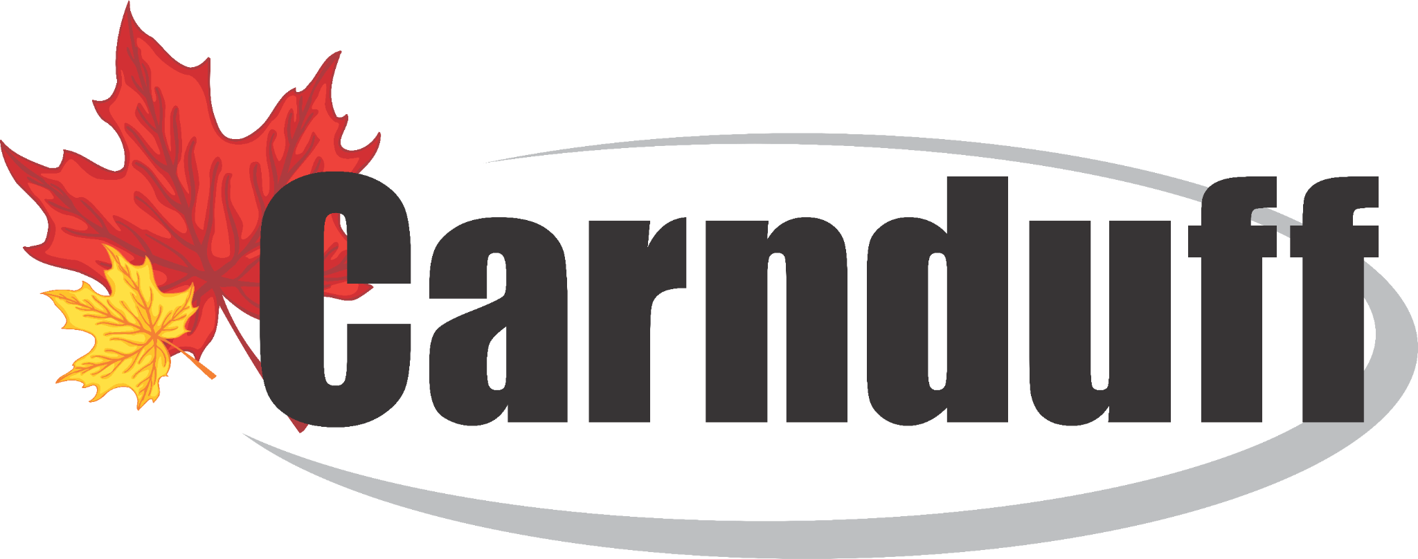 Brnad Logo