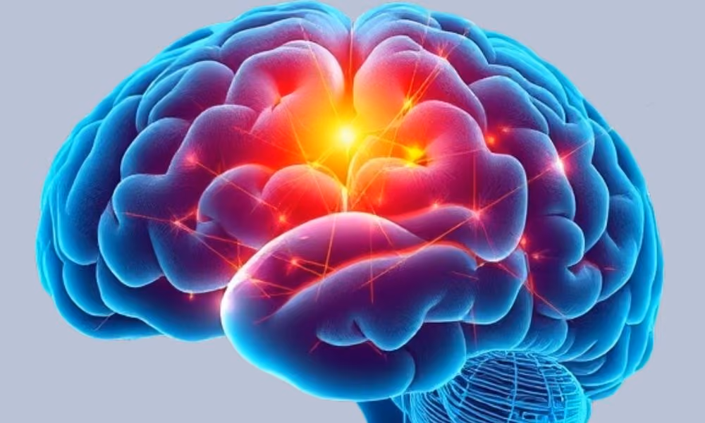 Amygdala Hypervigilance: Why Your Brain Thinks a Grocery Store is a War Zone
