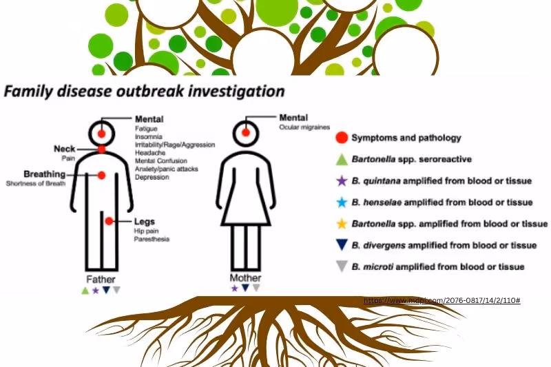 When Vector-Borne Infections Impact Entire Households: A One Health Case Study