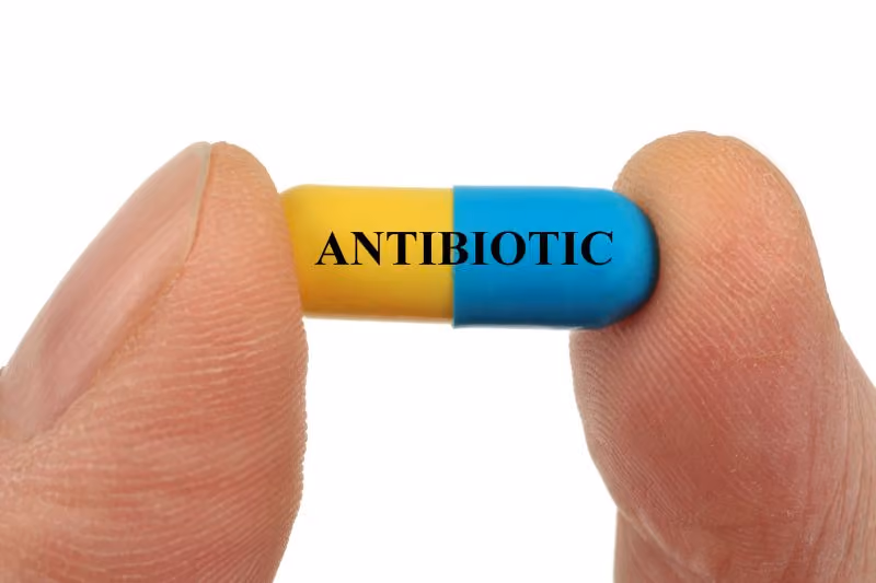 Risks and Benefits of antibiotics for VBIs