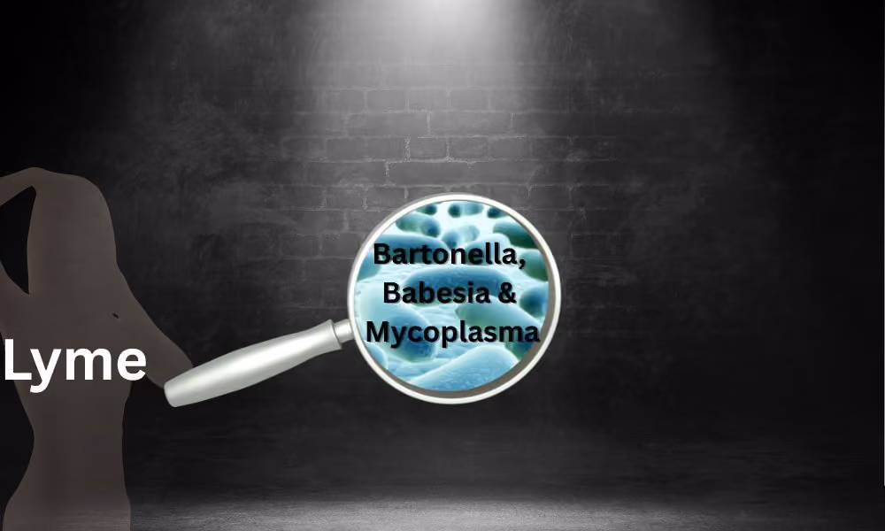Shifting the "Lyme" Light: What Lyme Disease Is, What It Isn’t, and Why We Need a New Framework