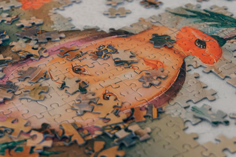 Is Autism Sometimes an Autoimmune Condition Triggered by Infections? A New Look at a Complex Puzzle