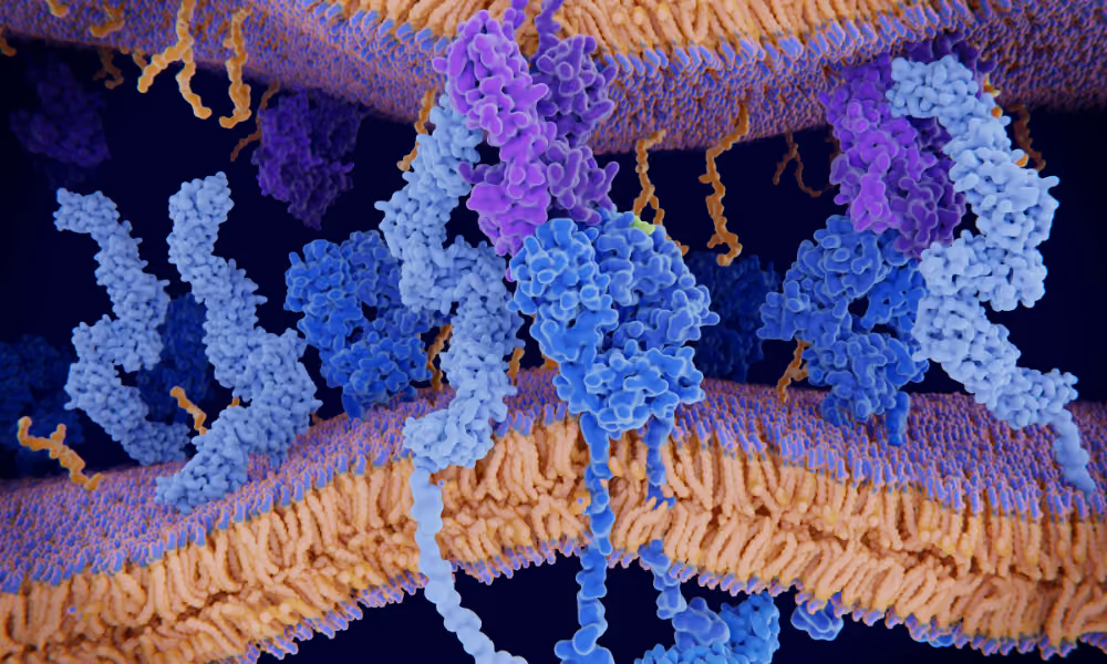 Cerebral Folate Deficiency and Folate Receptor Autoantibodies: A Treatable Detail in a Bigger Root Cause Picture