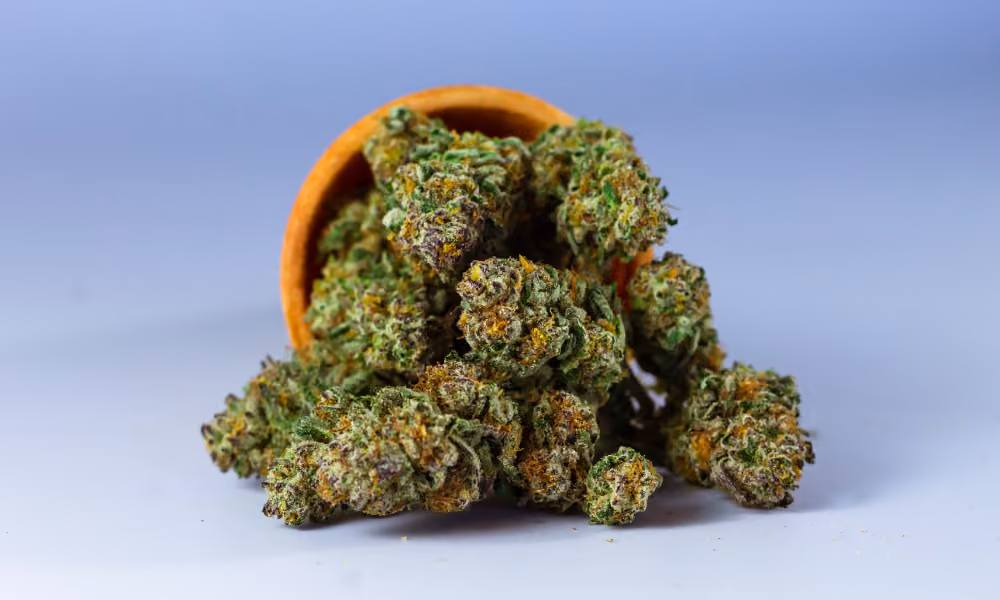 The High Cost of Daily THC Use: Why It’s a Band-Aid, Not a Solution