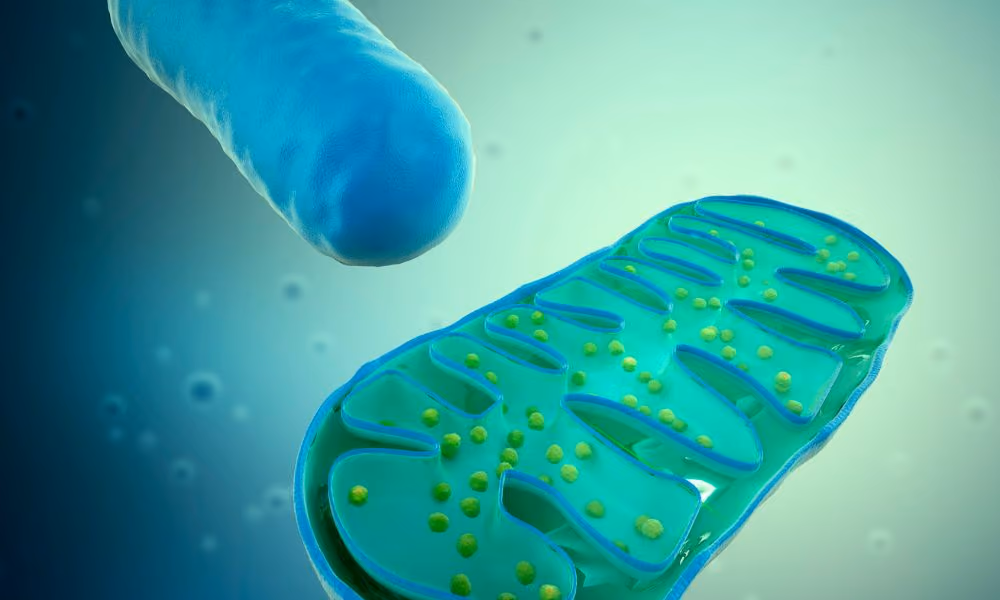 Understanding the Cell Danger Response: Why Healing Stalls and What to Do About It